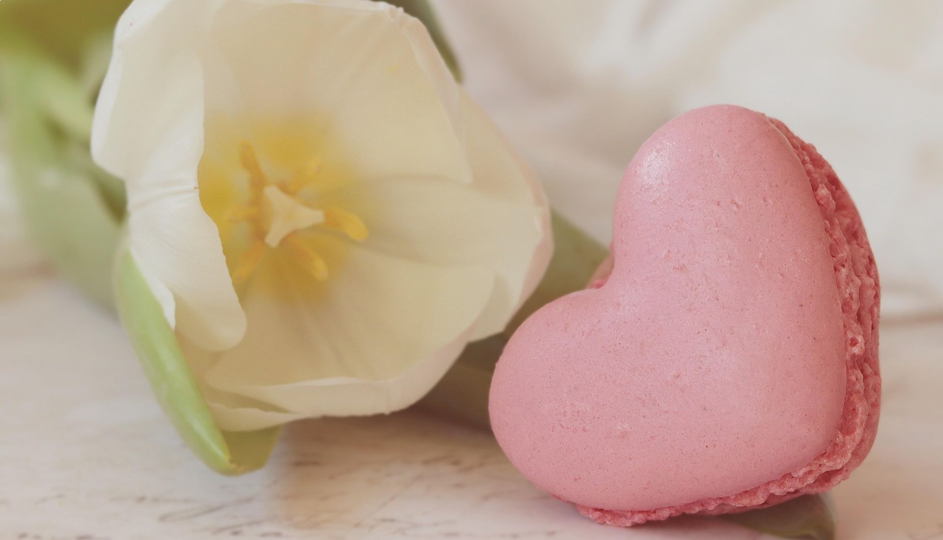 Atelier Macarons de la St Valentin