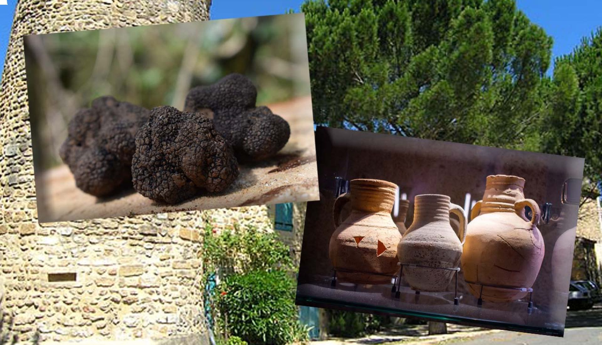Village de Richerenches et son musée de la truffe – Musée archéologique de St Paul trois châteaux