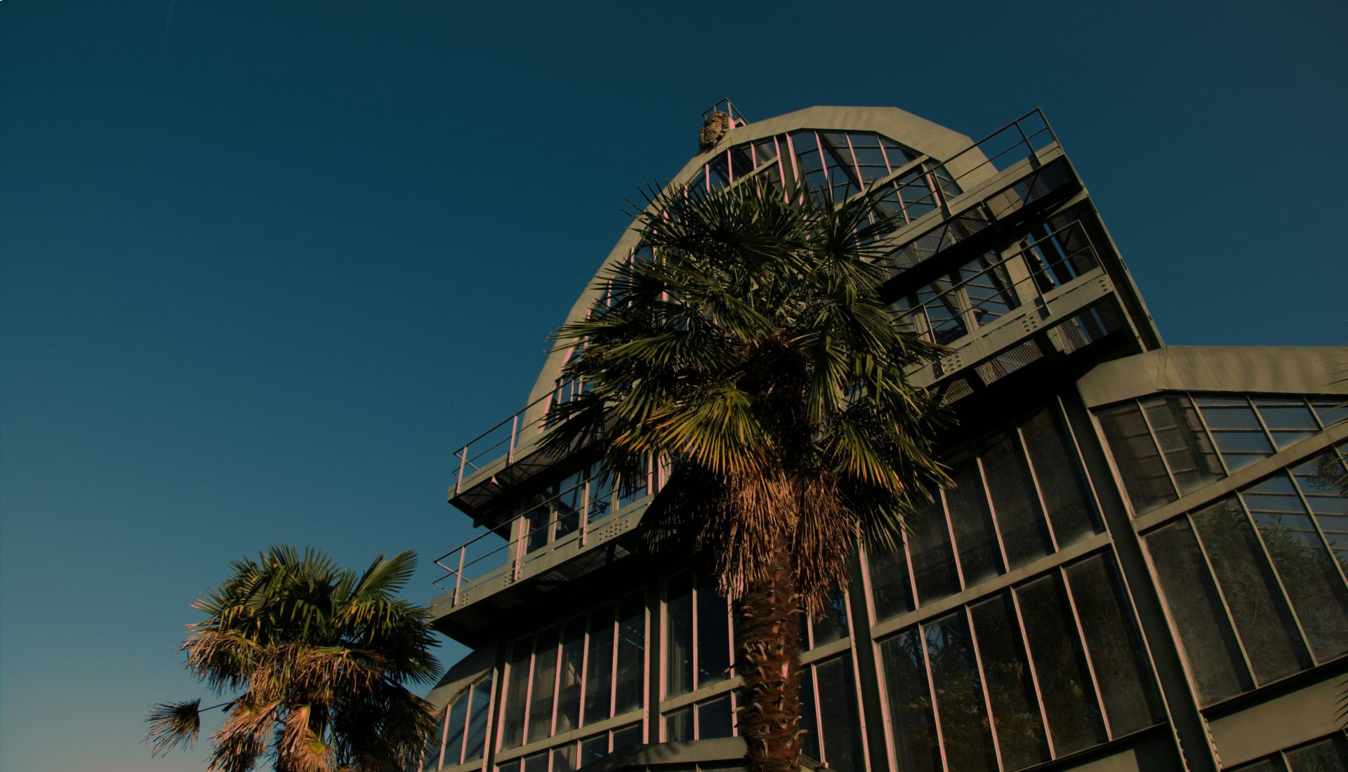 Découverte botanique au Parc de la Tête d’Or à Lyon et Visite du centre de calcul IN2P3 sur le CAMPUS DE LA DOUA à Villeurbanne