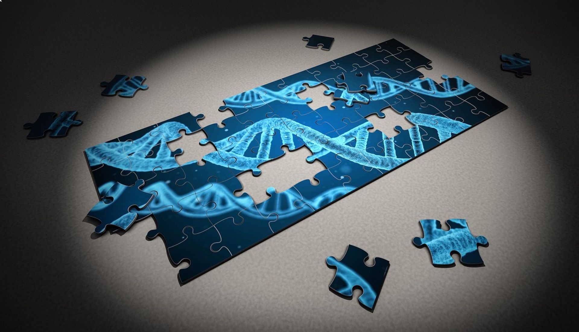 Les tests ADN et la généalogie génétique