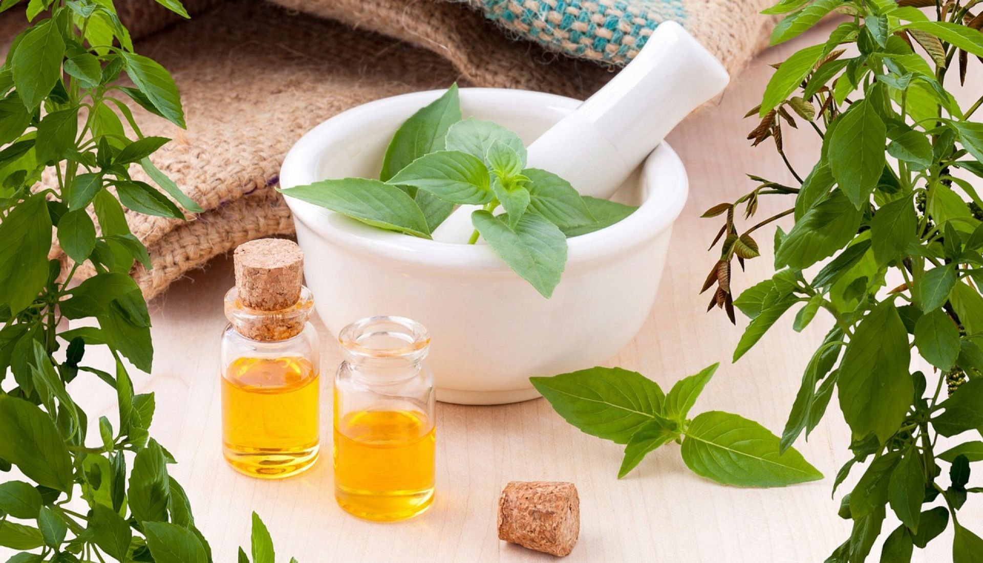 Atelier crème de jouvence aux huiles essentielles