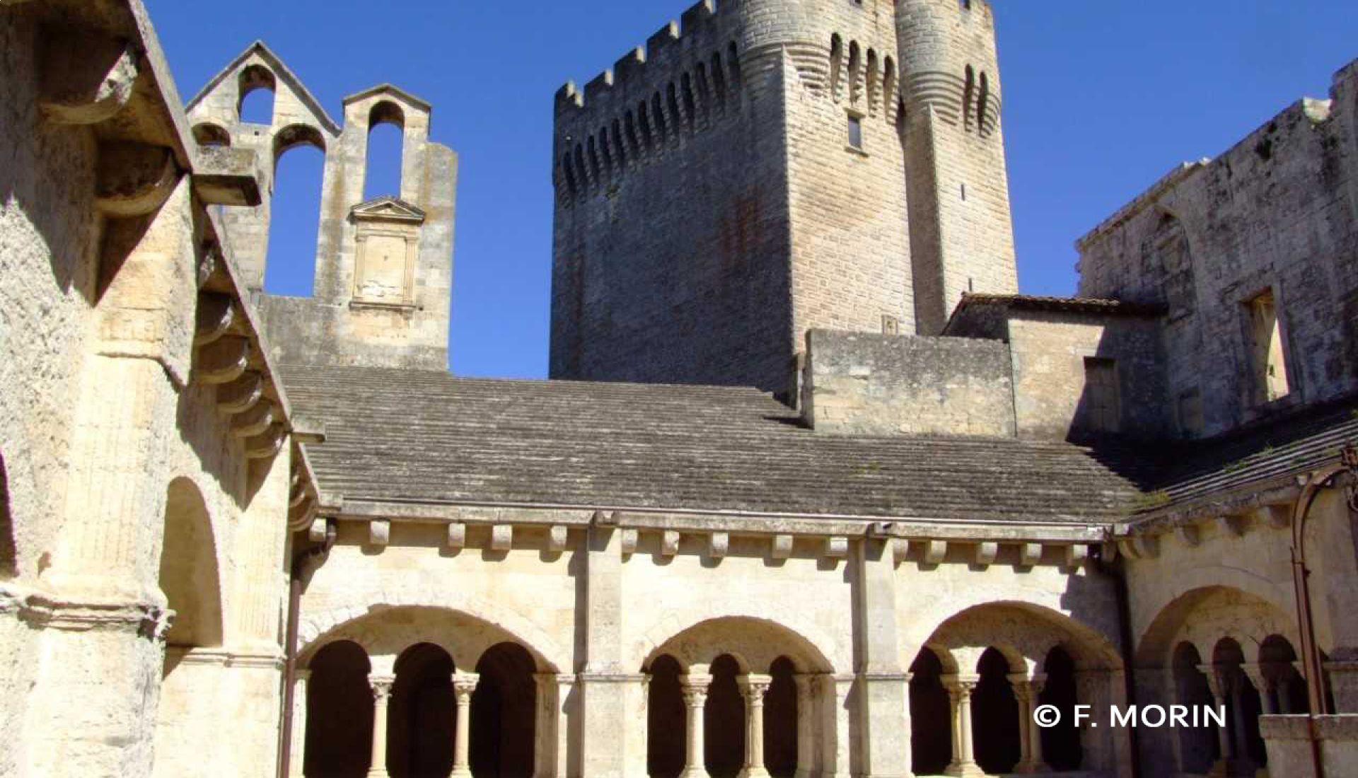 Visite du musée Arlaten et de l'abbaye de Montmajour