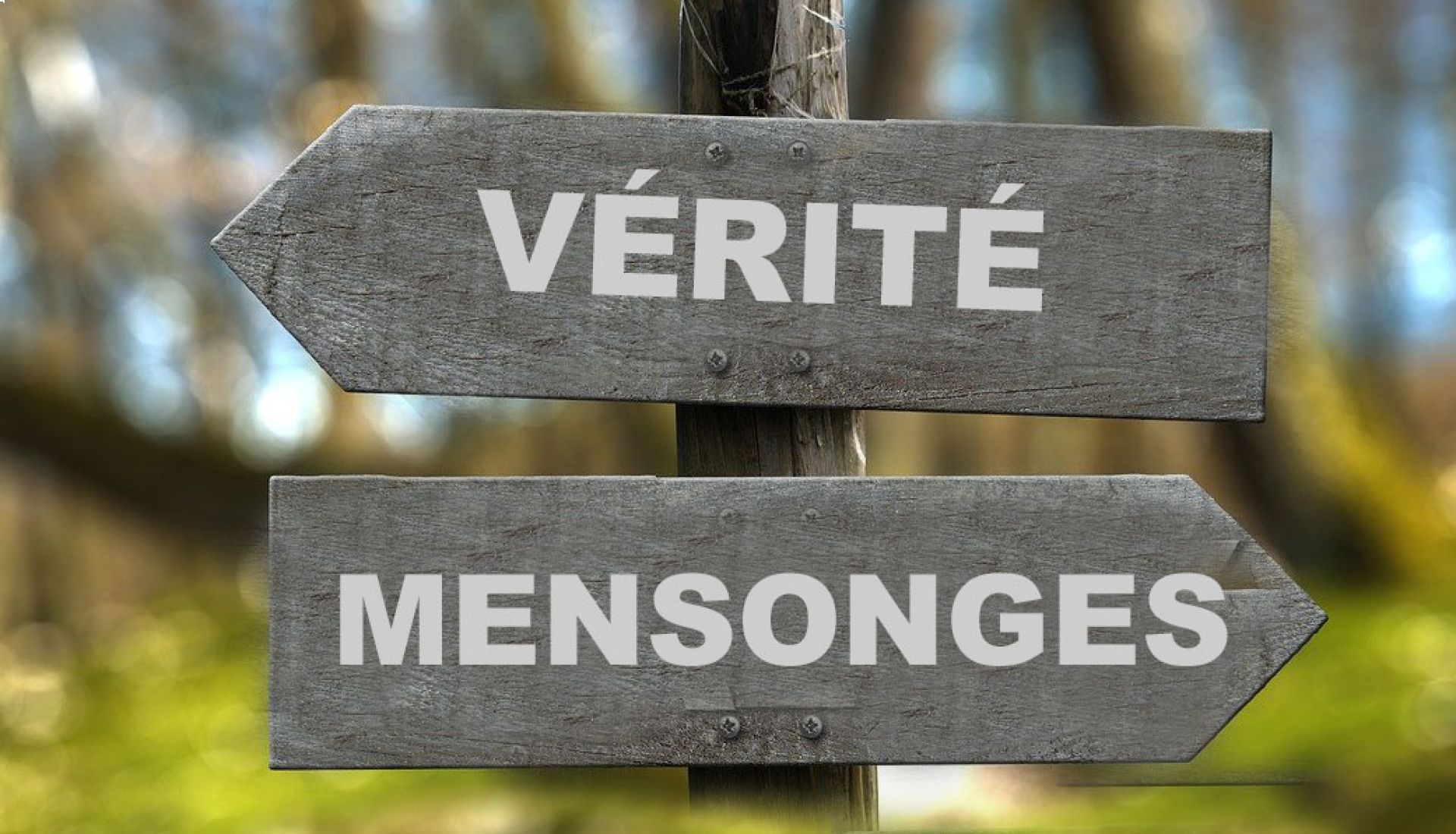 Vérité et mensonges