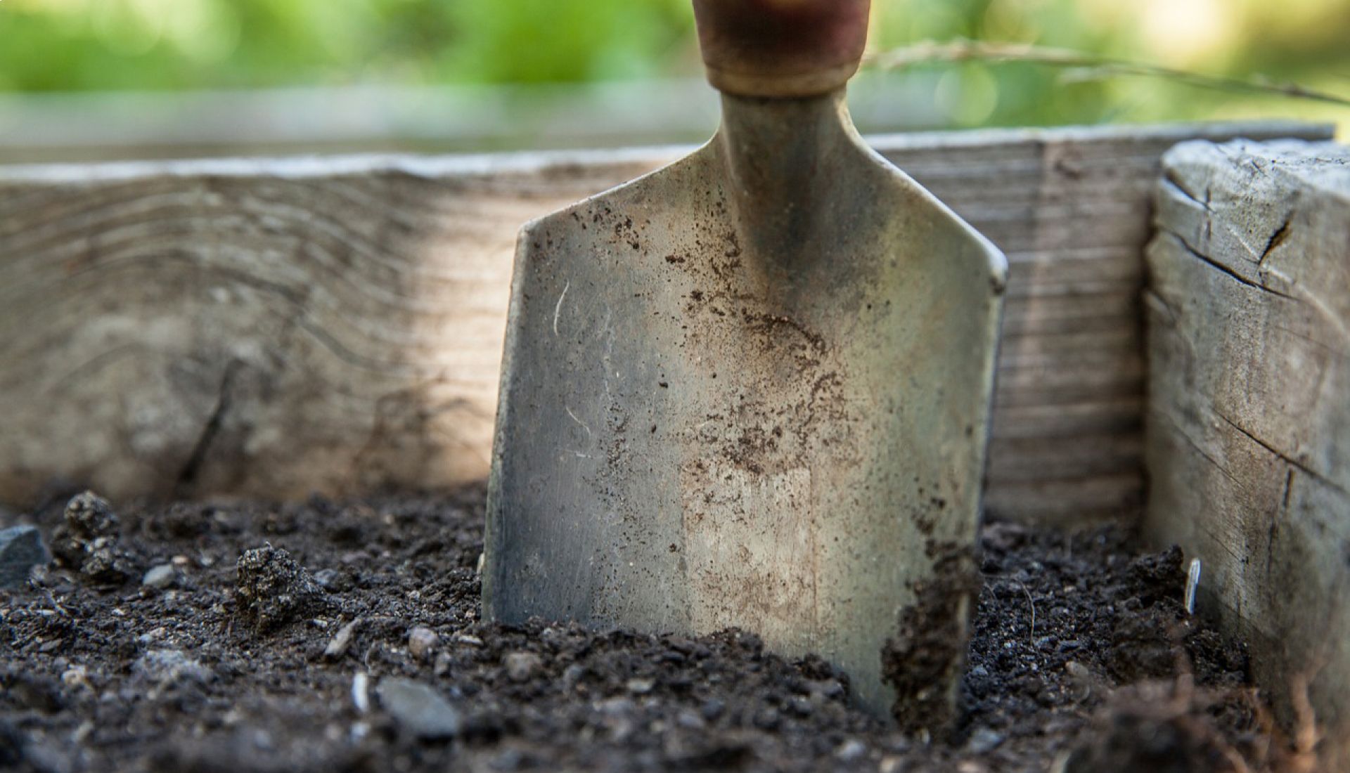 Revitaliser le sol de son jardin
