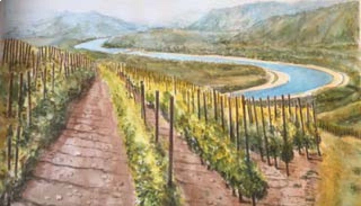 Exposition : sites et vies dans le couloir rhodanien