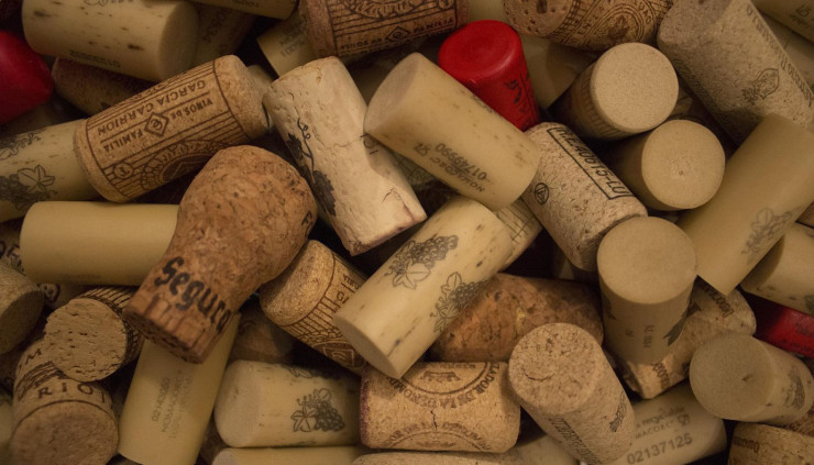 Le vin au fil du Rhône