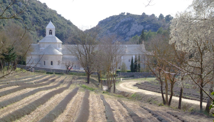 CR - Abbaye de Sénanque et caves de St Firmin